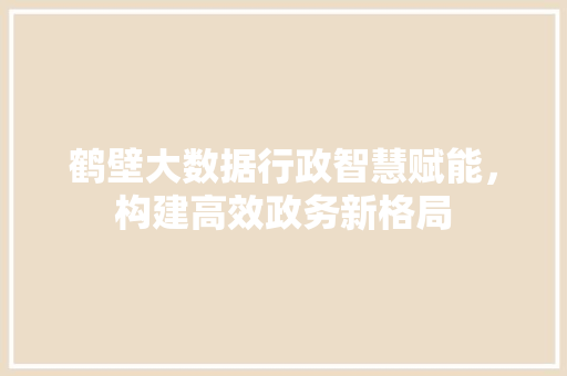 鹤壁大数据行政智慧赋能，构建高效政务新格局 编程语言
