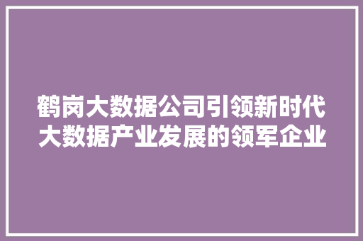 鹤岗大数据公司引领新时代大数据产业发展的领军企业