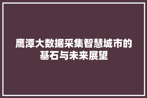 鹰潭大数据采集智慧城市的基石与未来展望
