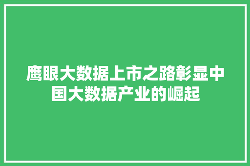 鹰眼大数据上市之路彰显中国大数据产业的崛起