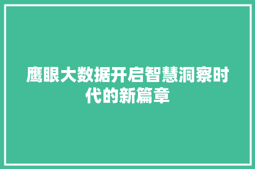 鹰眼大数据开启智慧洞察时代的新篇章