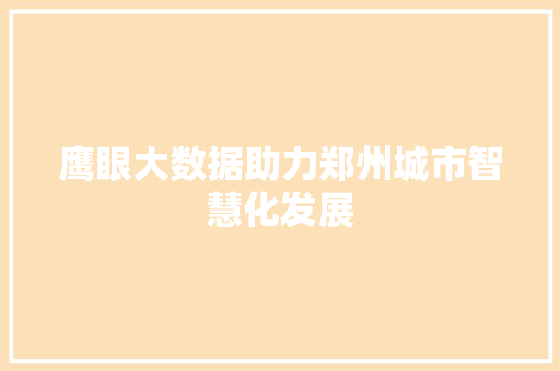 鹰眼大数据助力郑州城市智慧化发展