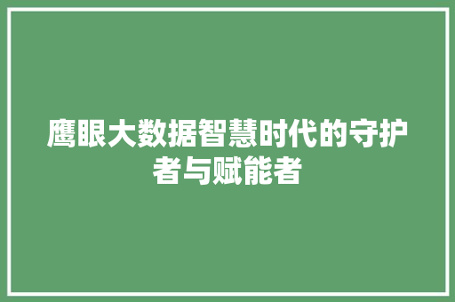 鹰眼大数据智慧时代的守护者与赋能者