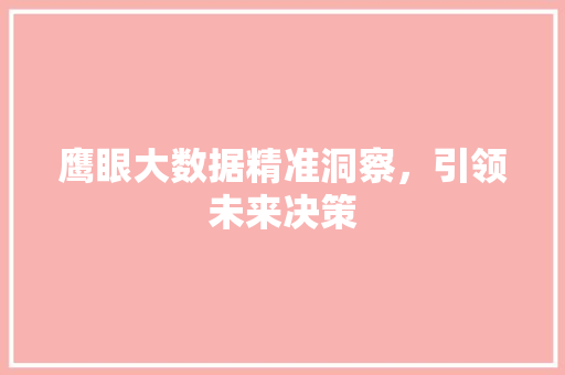 鹰眼大数据精准洞察，引领未来决策
