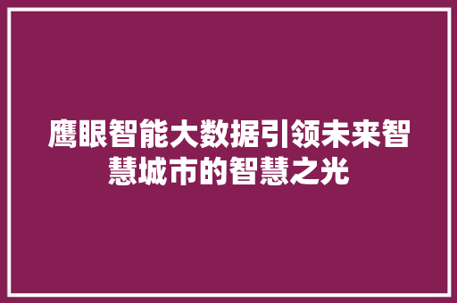鹰眼智能大数据引领未来智慧城市的智慧之光