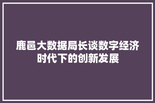 鹿邑大数据局长谈数字经济时代下的创新发展
