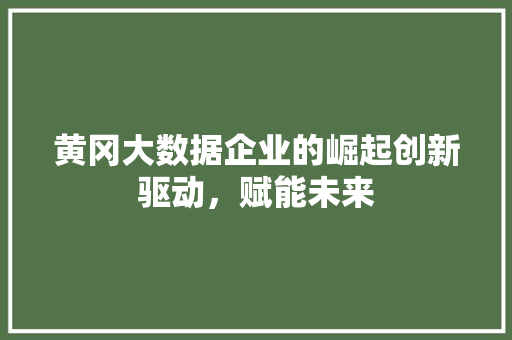黄冈大数据企业的崛起创新驱动,赋能未来 黄冈大数据企业的崛起创新驱动,赋能未来