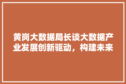 黄岗大数据局长谈大数据产业发展创新驱动，构建未来