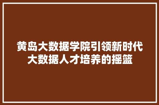 黄岛大数据学院引领新时代大数据人才培养的摇篮 黄岛大数据学院引领新时代大数据人才培养的摇篮