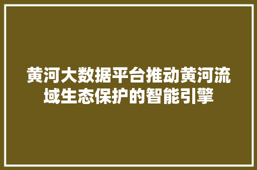 黄河大数据平台推动黄河流域生态保护的智能引擎
