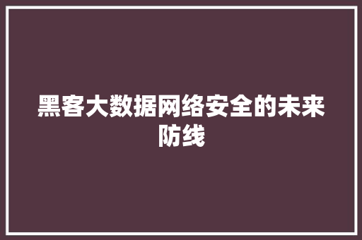 黑客大数据网络安全的未来防线