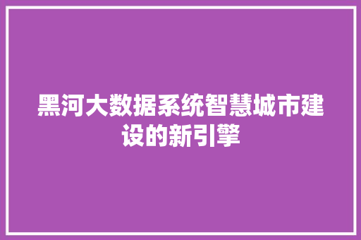 黑河大数据系统智慧城市建设的新引擎
