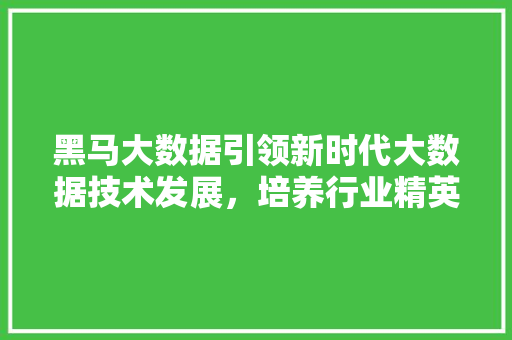 黑马大数据引领新时代大数据技术发展，培养行业精英