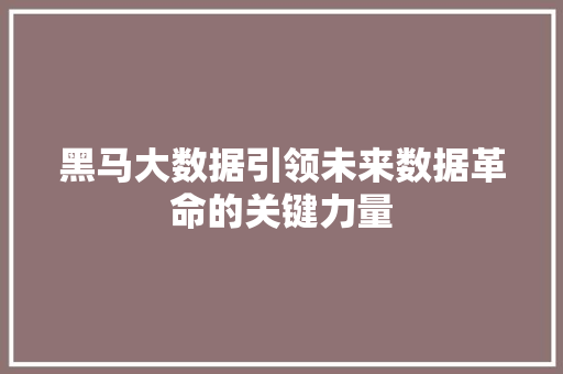 黑马大数据引领未来数据革命的关键力量