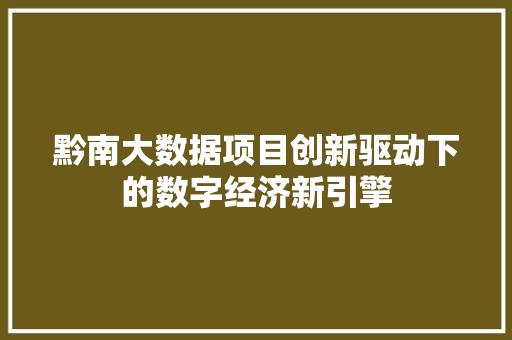 黔南大数据项目创新驱动下的数字经济新引擎