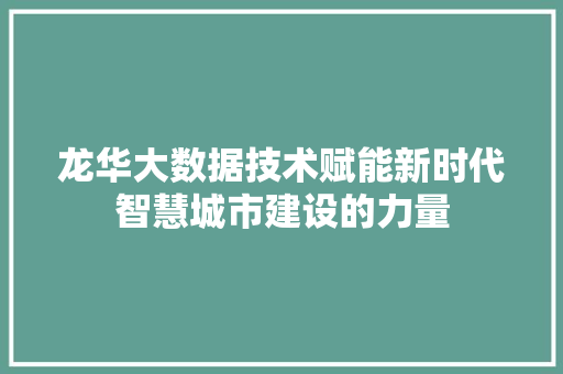 龙华大数据技术赋能新时代智慧城市建设的力量 网络技术