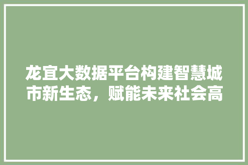 龙宜大数据平台构建智慧城市新生态,赋能未来社会高质量发展 编程语言 龙宜大数据平台构建智慧城市新生态,赋能未来社会高质量发展 编程语言