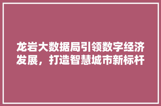 龙岩大数据局引领数字经济发展，打造智慧城市新标杆 电脑故障维修