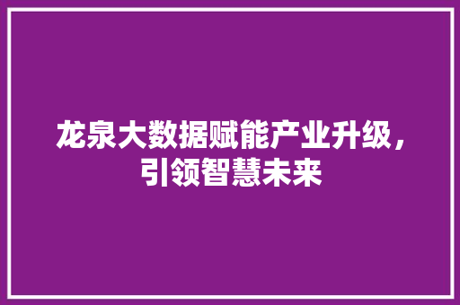 龙泉大数据赋能产业升级,引领智慧未来 电脑故障维修 龙泉大数据赋能产业升级,引领智慧未来 电脑故障维修