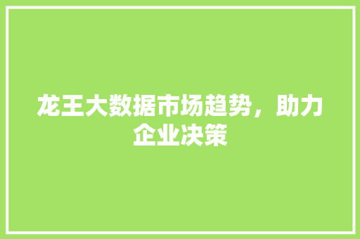龙王大数据市场趋势,助力企业决策 电脑故障维修 龙王大数据市场趋势,助力企业决策 电脑故障维修