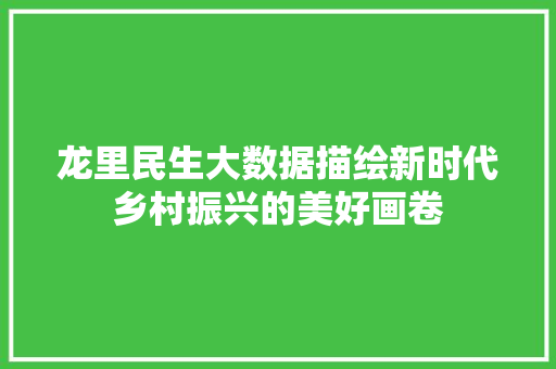 龙里民生大数据描绘新时代乡村振兴的美好画卷 网络技术 龙里民生大数据描绘新时代乡村振兴的美好画卷 网络技术