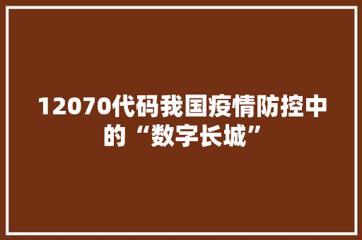 12070代码我国疫情防控中的“数字长城”