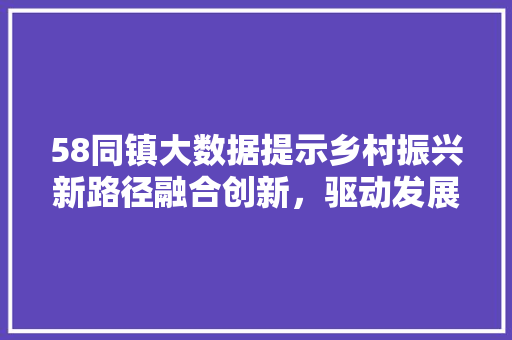 58同镇大数据提示乡村振兴新路径融合创新，驱动发展