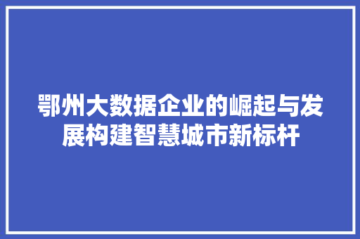 鄂州大数据企业的崛起与发展构建智慧城市新标杆