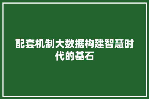 配套机制大数据构建智慧时代的基石