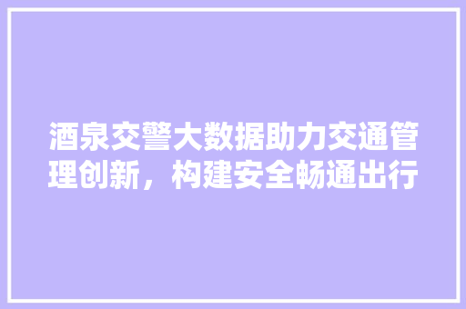 酒泉交警大数据助力交通管理创新，构建安全畅通出行环境