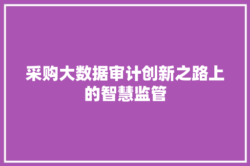 采购大数据审计创新之路上的智慧监管