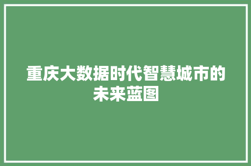 重庆大数据时代智慧城市的未来蓝图