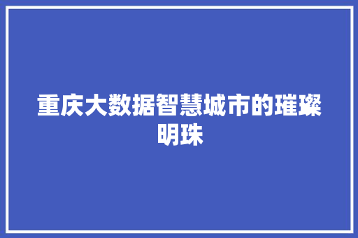 重庆大数据智慧城市的璀璨明珠 网络技术