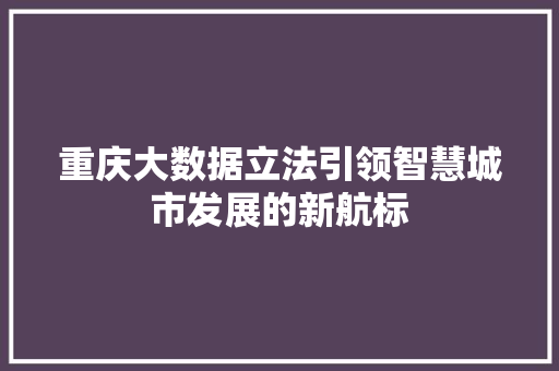 重庆大数据立法引领智慧城市发展的新航标 网络技术