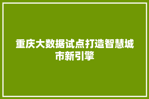 重庆大数据试点打造智慧城市新引擎
