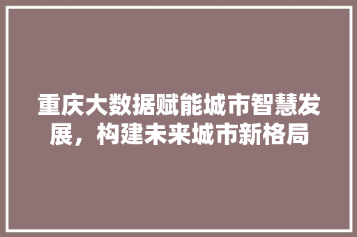 重庆大数据赋能城市智慧发展，构建未来城市新格局