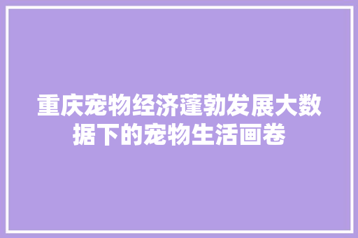 重庆宠物经济蓬勃发展大数据下的宠物生活画卷 电脑基础