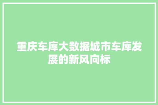 重庆车库大数据城市车库发展的新风向标