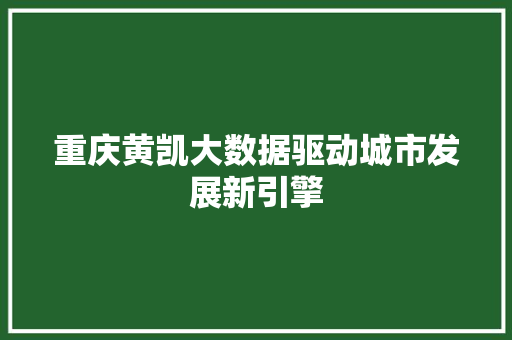 重庆黄凯大数据驱动城市发展新引擎 操作系统