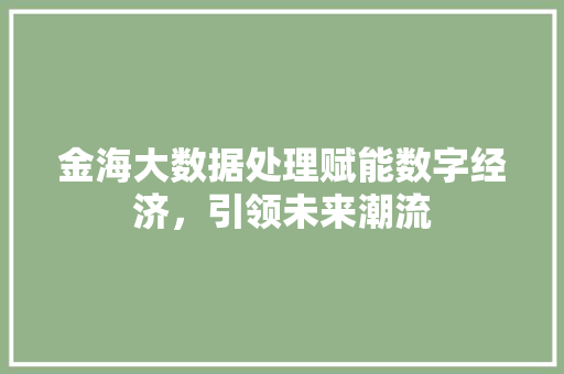 金海大数据处理赋能数字经济，引领未来潮流