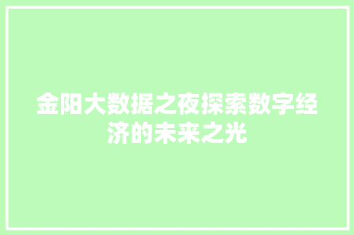 金阳大数据之夜探索数字经济的未来之光