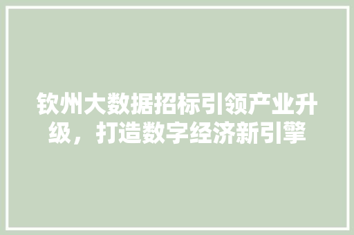 钦州大数据招标引领产业升级，打造数字经济新引擎