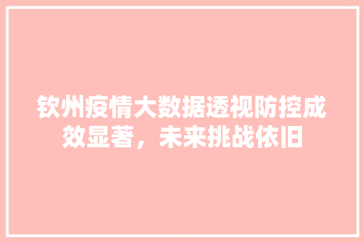 钦州疫情大数据透视防控成效显著，未来挑战依旧