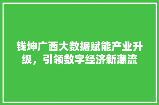 钱坤广西大数据赋能产业升级,引领数字经济新潮流 钱坤广西大数据赋能产业升级,引领数字经济新潮流