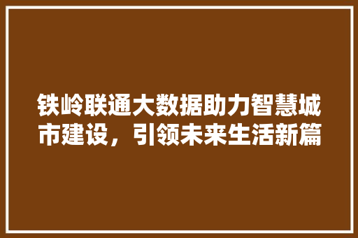 铁岭联通大数据助力智慧城市建设，引领未来生活新篇章