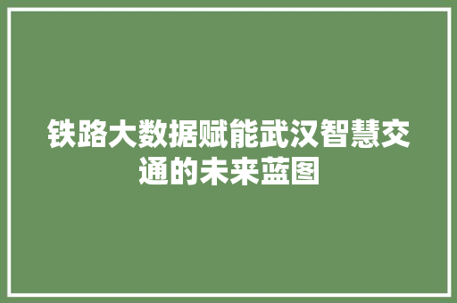 铁路大数据赋能武汉智慧交通的未来蓝图