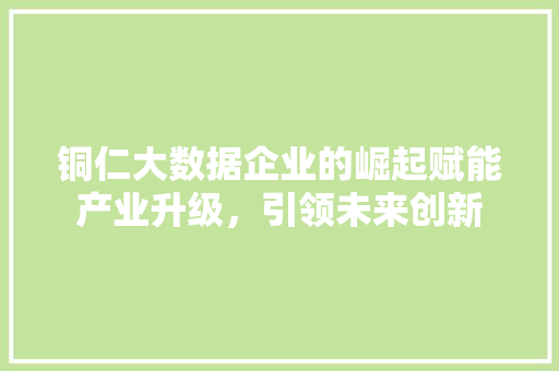 铜仁大数据企业的崛起赋能产业升级，引领未来创新