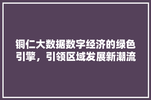 铜仁大数据数字经济的绿色引擎，引领区域发展新潮流