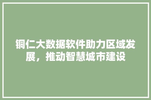 铜仁大数据软件助力区域发展，推动智慧城市建设
