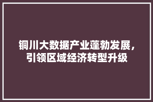 铜川大数据产业蓬勃发展，引领区域经济转型升级